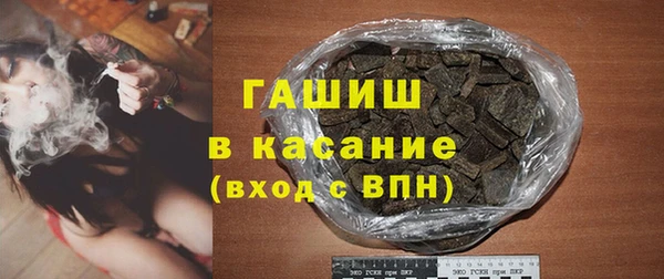 прущие грибы Корсаков