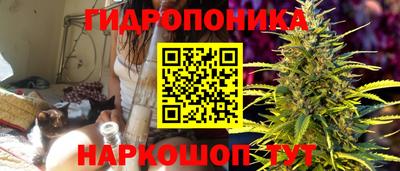 ГАЛЛЮЦИНОГЕННЫЕ ГРИБЫ Аргун