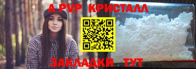 герыч Кингисепп