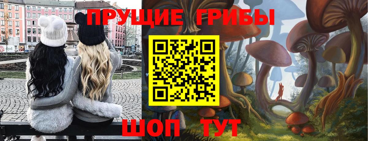 Галлюциногенные грибы мицелий Южноуральск